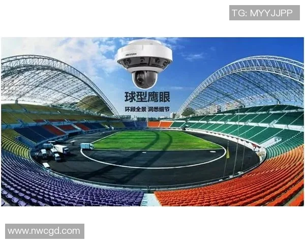 2012欧洲杯用球设计理念与技术创新探讨